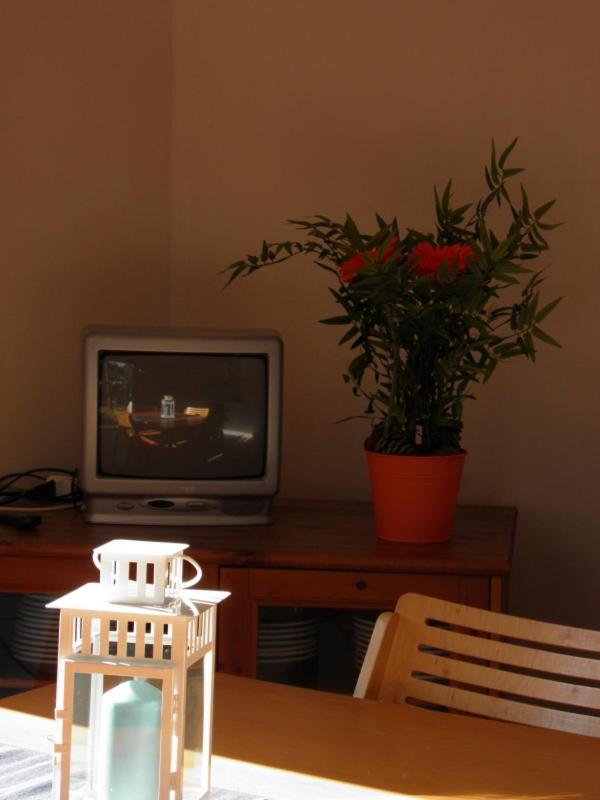 Maremmare Tuscany Apartments Principina a Mare Zewnętrze zdjęcie